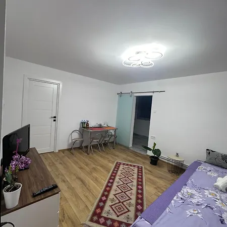 Camelia's Rum i privatbostad Cluj-Napoca