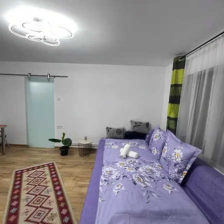 Camelia's * 클루지나포카