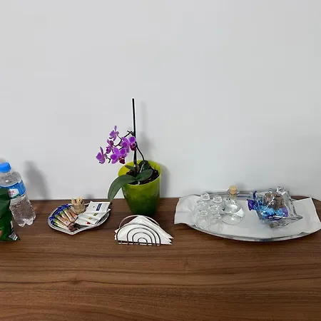 Camelia's 홈스테이 클루지나포카