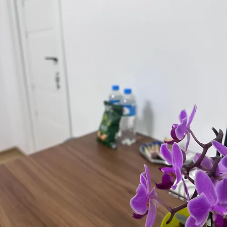 Ubytování v soukromí Camelia's *