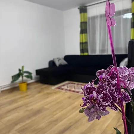 Ubytování v soukromí Camelia's Kluž