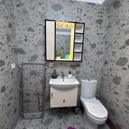 홈스테이 Camelia's 클루지나포카