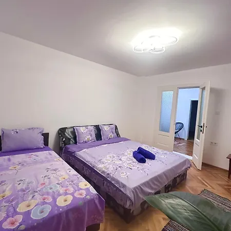 Ubytování v soukromí Camelia's Kluž