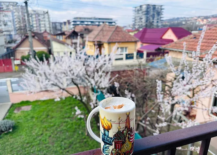 Camelia's Cluj-Napoca