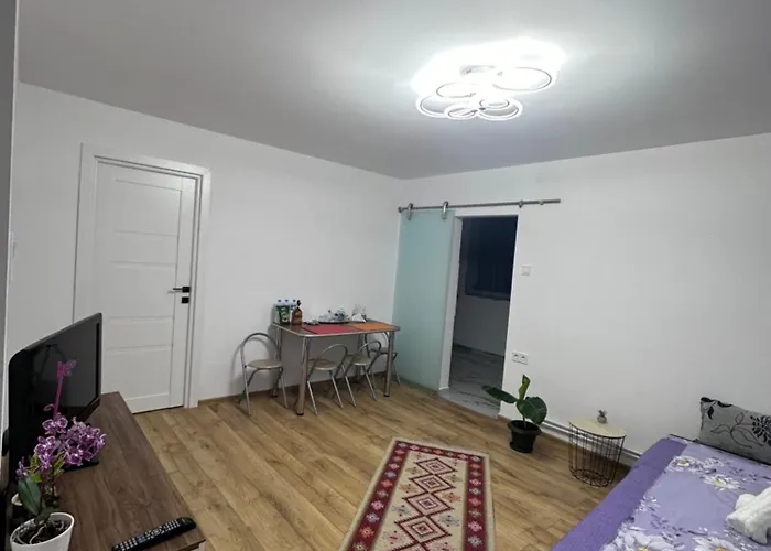 Camelia's Privatunterkunft Cluj-Napoca