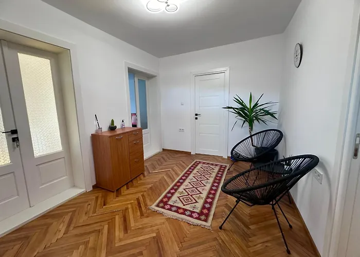 Camelia's Kluż-Napoka