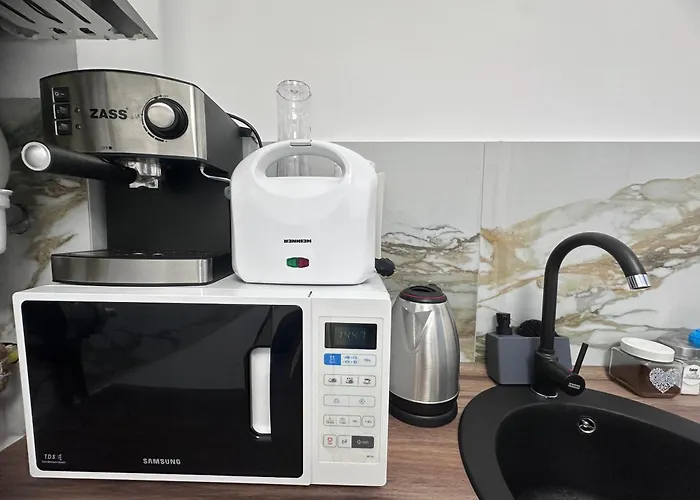 Camelia's Kluż-Napoka