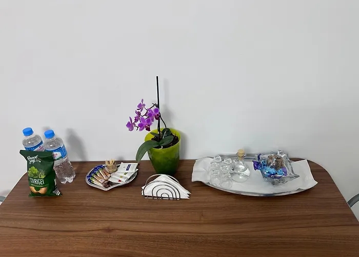 Camelia's Homestay Cluj-Napoca