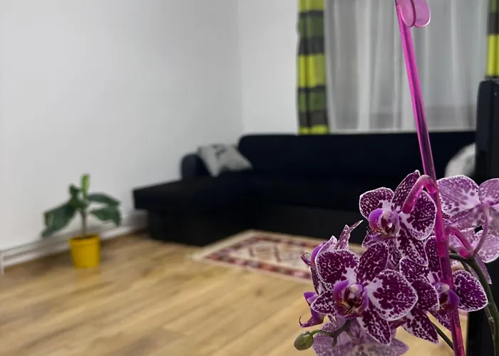 Privatunterkunft Camelia's Cluj-Napoca