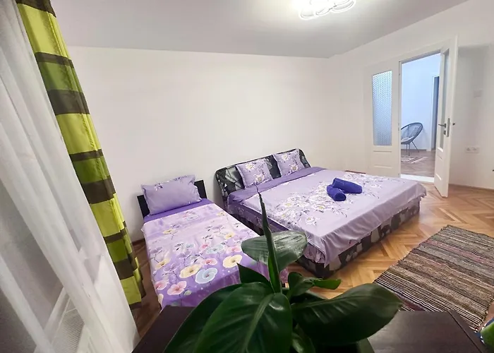 Camelia's Homestay Cluj-Napoca