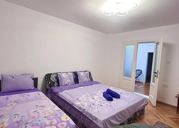 Privatunterkunft Camelia's Cluj-Napoca